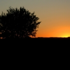 2008_07_23 - IMG_1966 - 01