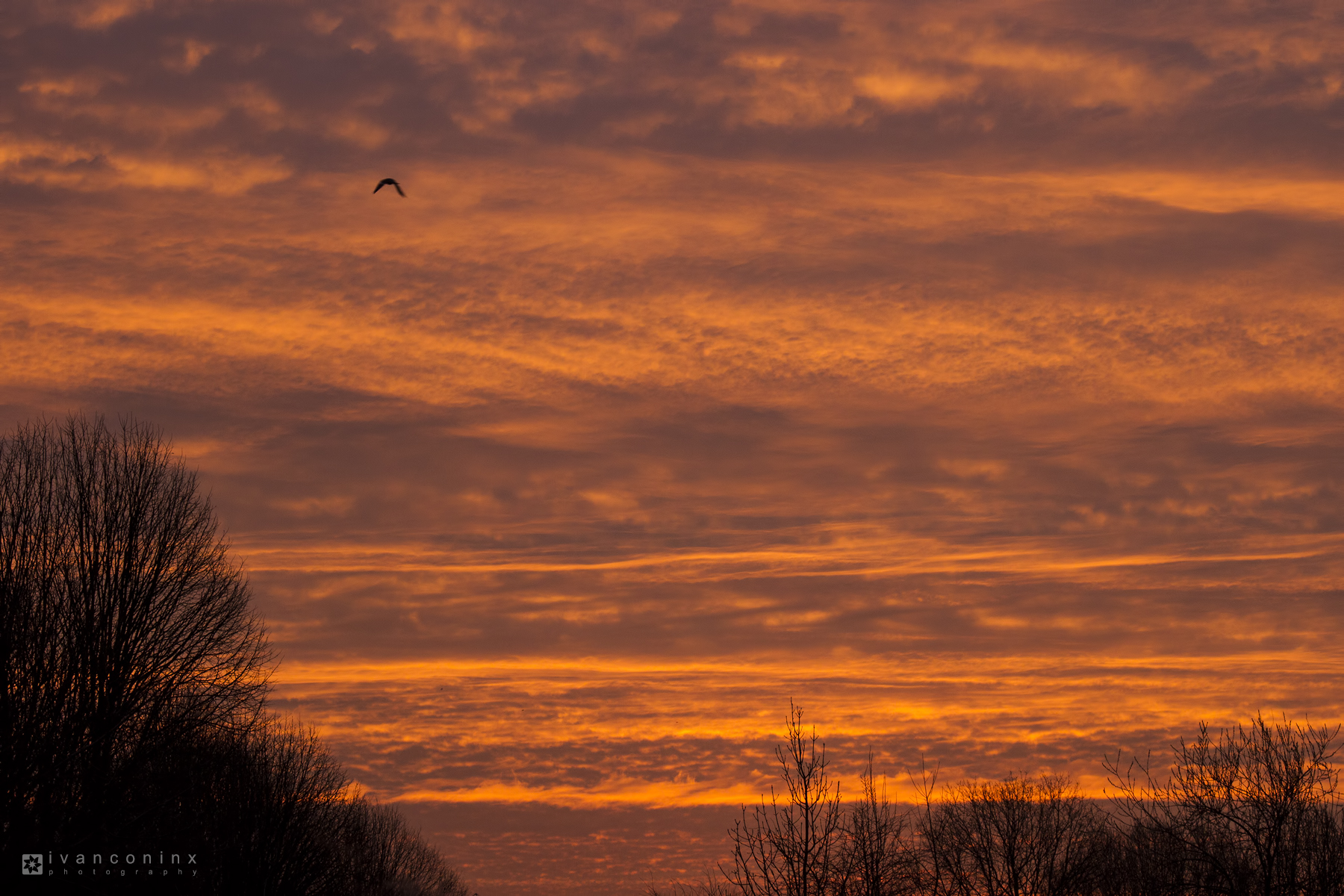 A Brief Look At My Flickr Photos – March 2016